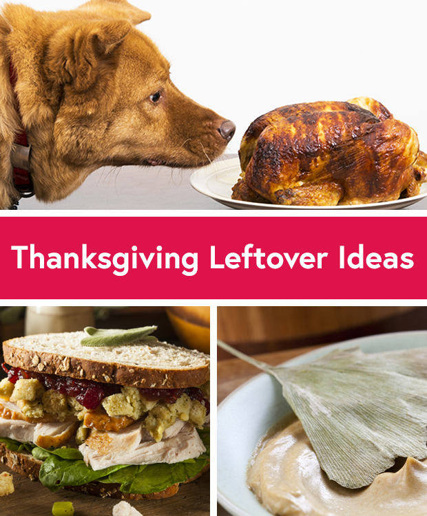 5 Fresh Ways to Use Thanksgiving Leftovers