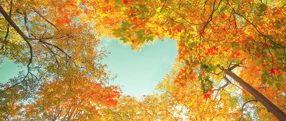 Your Healthy & Happy Autumn Bucket List