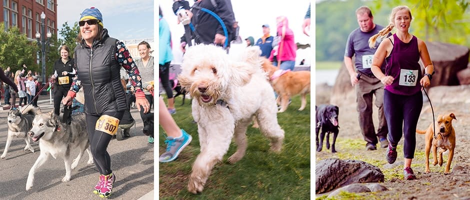 The 9 Fun Runs You Can Do With Your Dog